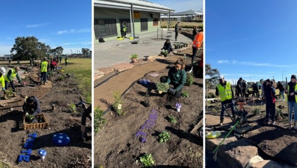 Sensory garden unearths college 'green thumbs'