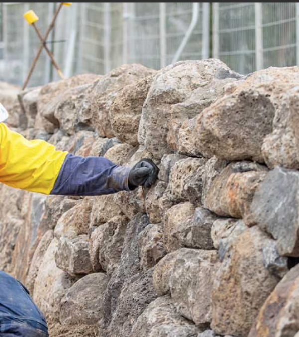 Preserving Local Heritage Along Epping Road