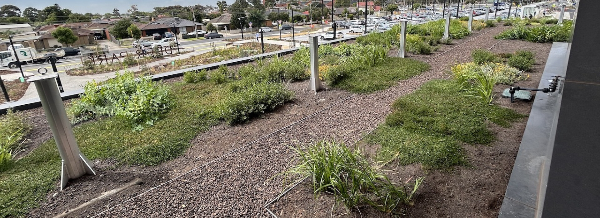 Victoria's first green canopy on a railway station 