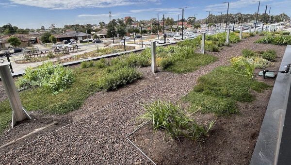 Victoria's first green canopy on a railway station 