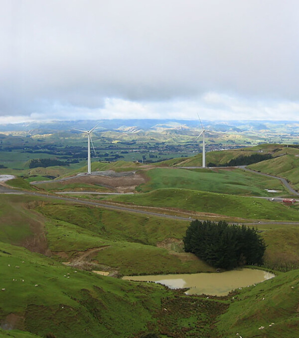 Te Apiti Windfarm